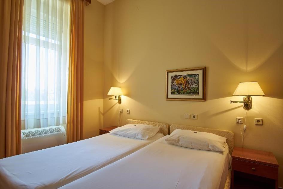 Hotel Vila Ruzica- Glavna Zgrada I Depandanse 크리크베니카 외부 사진