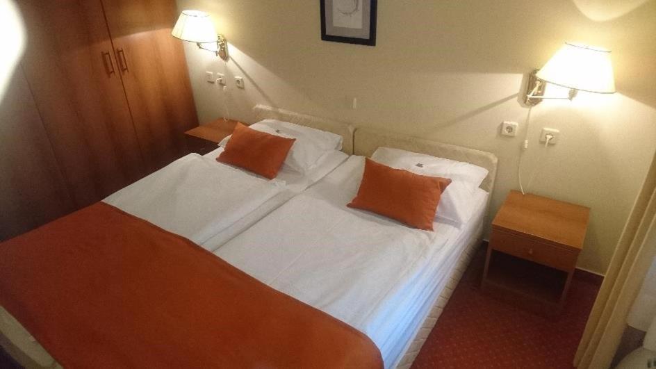 Hotel Vila Ruzica- Glavna Zgrada I Depandanse 크리크베니카 외부 사진
