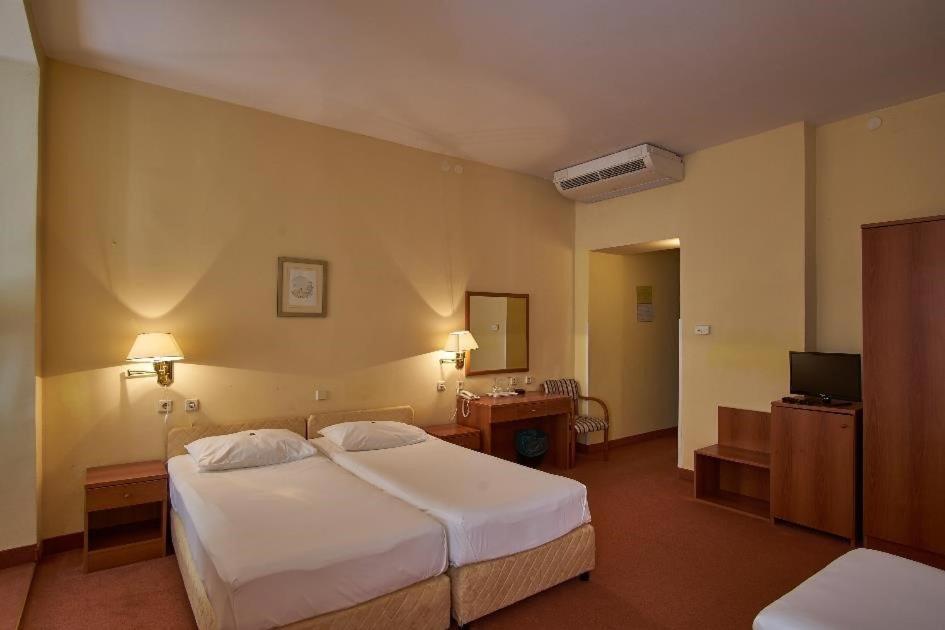 Hotel Vila Ruzica- Glavna Zgrada I Depandanse 크리크베니카 외부 사진